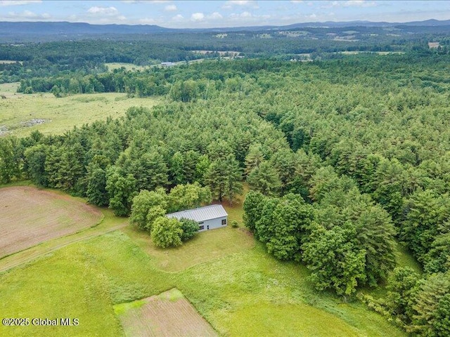 107 Hosey Russell Rd, Pittstown, NY 12028 - photo 3