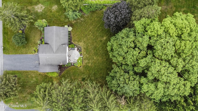 6458 Vosburgh Rd, Guilderland, NY 12009 - aerial overview of property's location