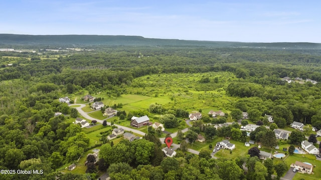 6458 Vosburgh Rd, Guilderland, NY 12009 - aerial view of property and surrounding area with a heavily wooded area