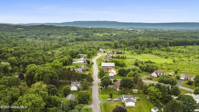 6458 Vosburgh Rd, Guilderland, NY 12009 - aerial view of a heavily wooded area