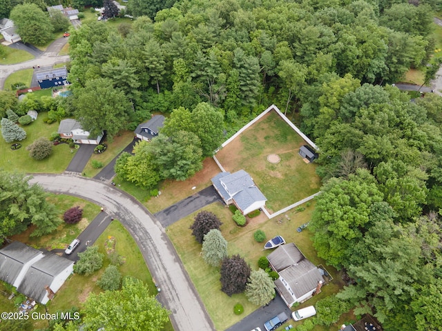 5012 Juniper Ln, Guilderland, NY 12303 - aerial view of property's location