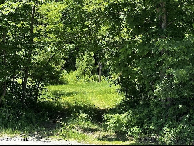 97 Library Ave, Warrensburg, NY 12885 - view of local wilderness