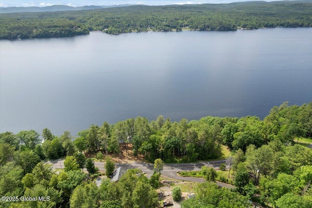 1062 S S Shore Rd, Hadley, NY 12835 - drone / aerial view of a forest and a large body of water