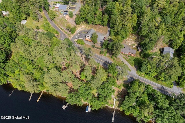 1062 S S Shore Rd, Hadley, NY 12835 - aerial view of property's location featuring a large body of water