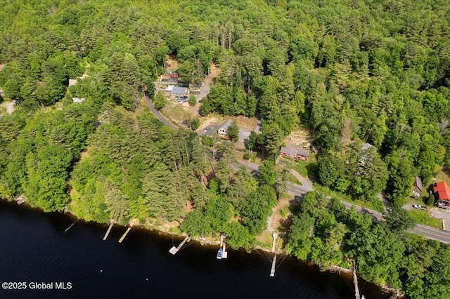 1062 S S Shore Rd, Hadley, NY 12835 - aerial overview of property's location featuring a heavily wooded area and a nearby body of water