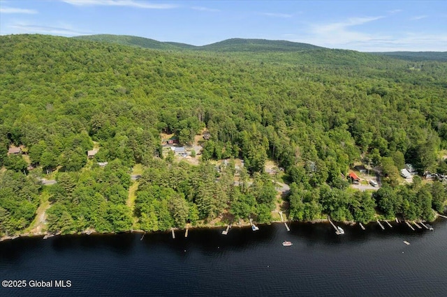 1062 S S Shore Rd, Hadley, NY 12835 - aerial view of property and surrounding area featuring a water and mountain view