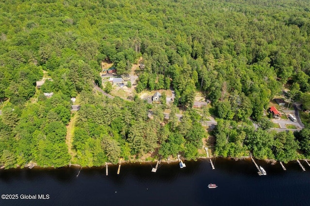 1062 S S Shore Rd, Hadley, NY 12835 - aerial view of property's location featuring a heavily wooded area and a nearby body of water