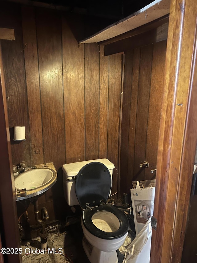 19 Williams St, Whitehall, NY 12887 - half bathroom featuring toilet and wooden walls