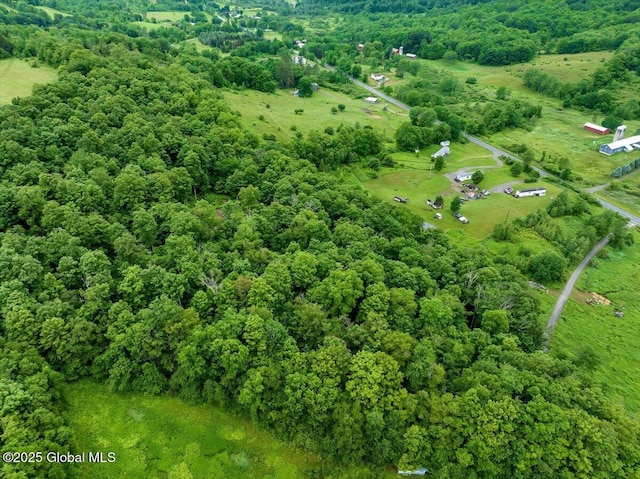 10 Shale Mountain Way, Hebron, NY 12865