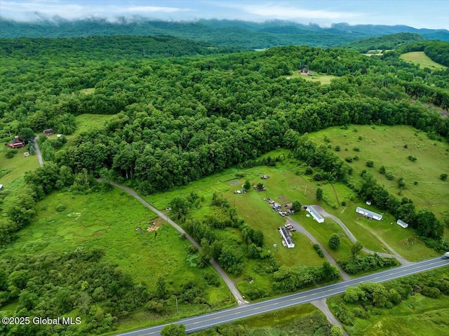 10 Shale Mountain Way, Hebron, NY 12865