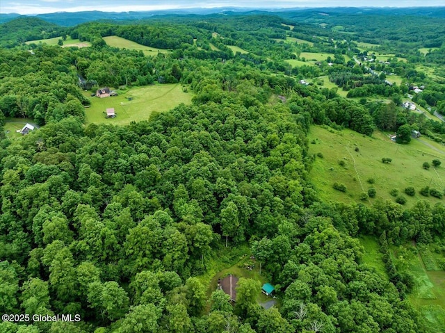 10 Shale Mountain Way, Hebron, NY 12865