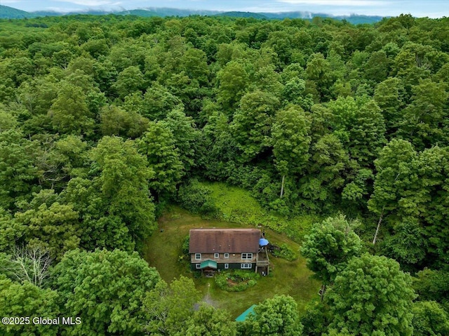 10 Shale Mountain Way, Hebron, NY 12865