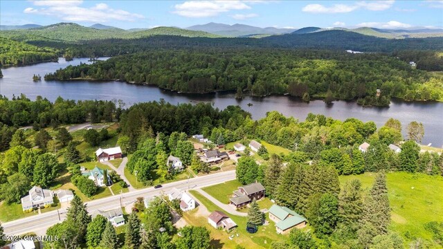 6166 State Route 28, Indian Lake, NY 12842 - photo 23