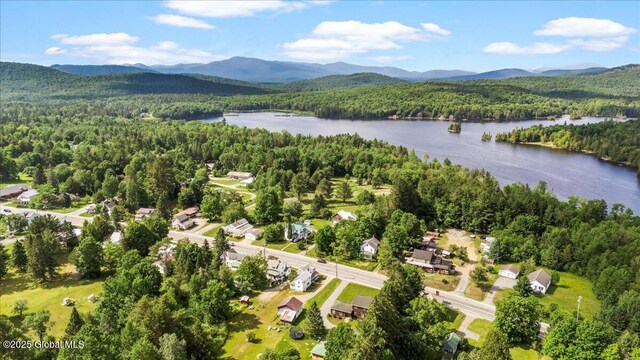 6166 State Route 28, Indian Lake, NY 12842 - photo 38