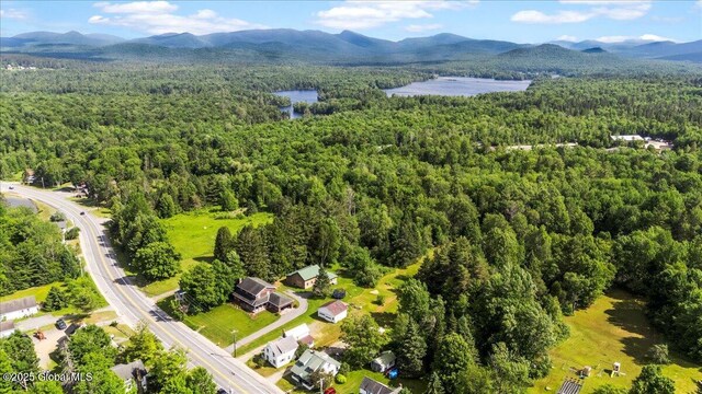 6166 State Route 28, Indian Lake, NY 12842 - photo 24