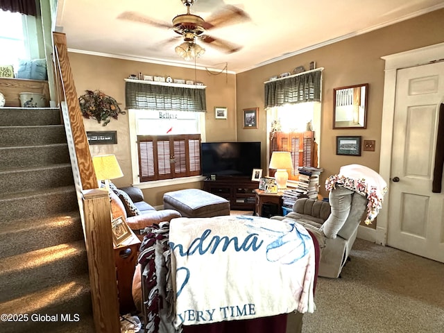 35 Walnut St, Canajoharie, NY 13317 - living room with stairway, ceiling fan, ornamental molding, and carpet