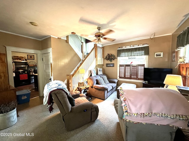 35 Walnut St, Canajoharie, NY 13317 - carpeted living room with ornamental molding, ceiling fan, and stairway
