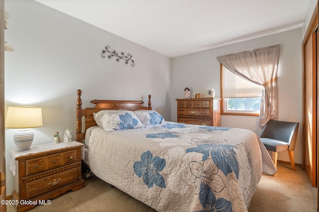 23 Tokay Ln, Colonie, NY 12309 - view of carpeted bedroom