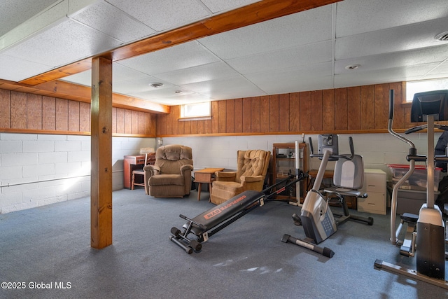 23 Tokay Ln, Colonie, NY 12309 - workout room featuring concrete block wall and a paneled ceiling