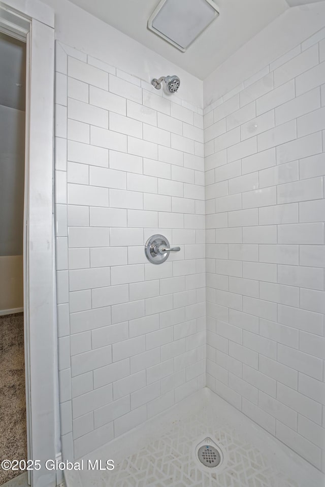280 Vley Rd, Glenville, NY 12302 - full bath with a tile shower