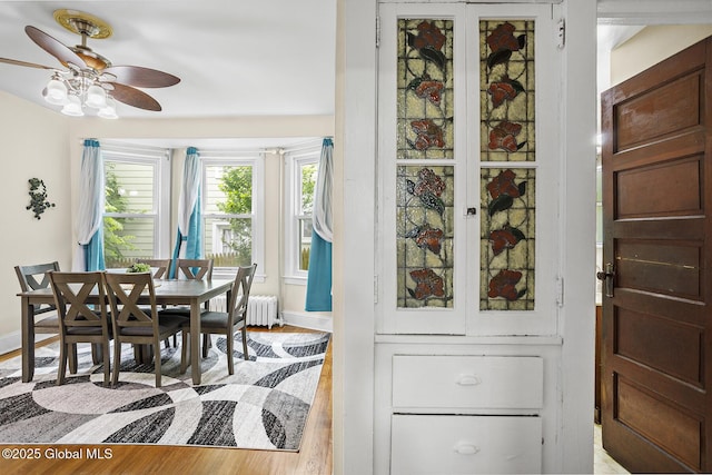 2303 Burdett Ave, Troy, NY 12180 - dining room with ceiling fan, radiator, and light wood finished floors