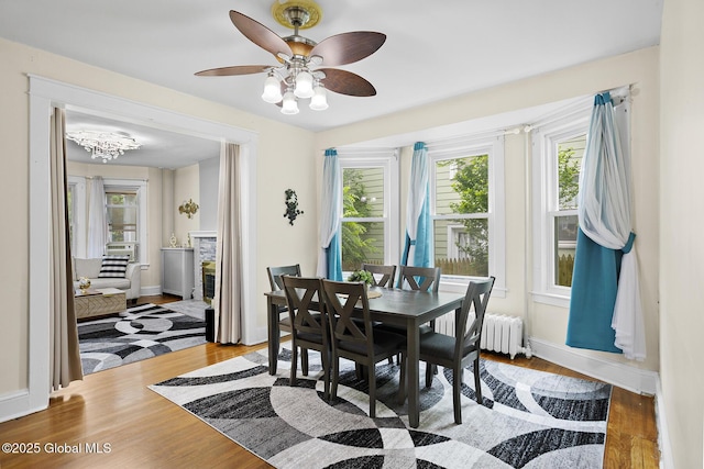 2303 Burdett Ave, Troy, NY 12180 - dining room with radiator heating unit, wood finished floors, and ceiling fan