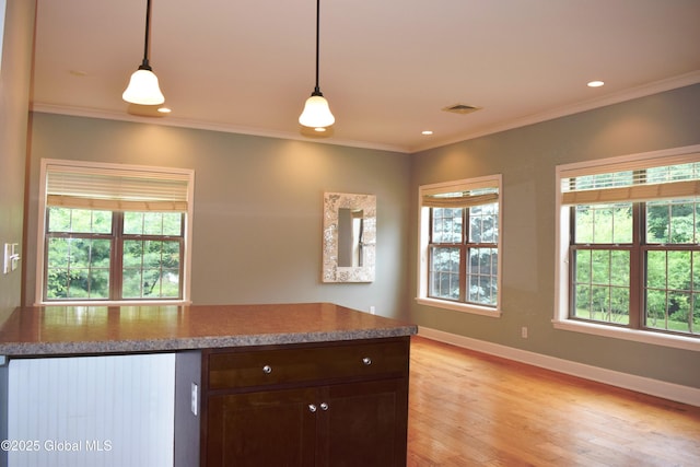 9 Lancaster Pl, Milton, NY 12020 - kitchen with light wood-type flooring, pendant lighting, ornamental molding, dark brown cabinetry, and recessed lighting