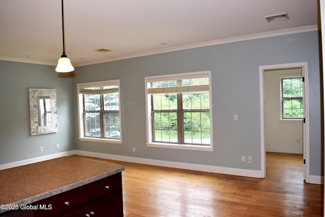 9 Lancaster Pl, Milton, NY 12020 - unfurnished living room with crown molding and light wood-style flooring