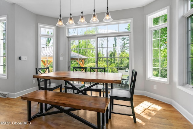 11 Fairview Ln, Halfmoon, NY 12118 - dining room featuring healthy amount of natural light and light wood-style flooring