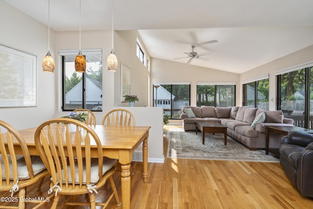 101 Euclid Ave, Albany, NY 12203 - dining room with plenty of natural light, light wood-style flooring, ceiling fan, and vaulted ceiling