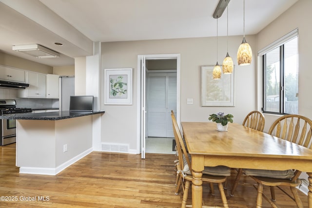 101 Euclid Ave, Albany, NY 12203 - dining room with light wood-style floors