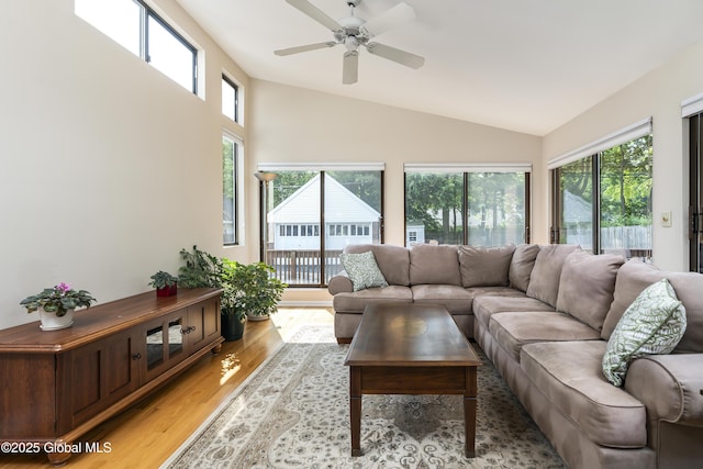 101 Euclid Ave, Albany, NY 12203 - living area featuring plenty of natural light, light wood-style floors, ceiling fan, and vaulted ceiling