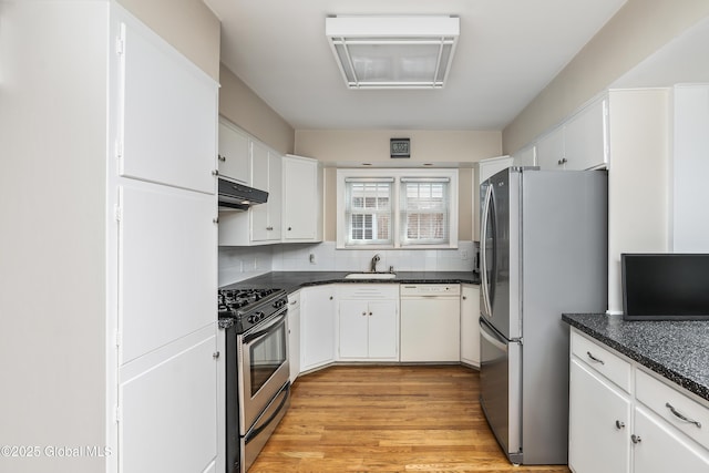 101 Euclid Ave, Albany, NY 12203 - kitchen with appliances with stainless steel finishes, under cabinet range hood, white cabinetry, and light wood-style flooring