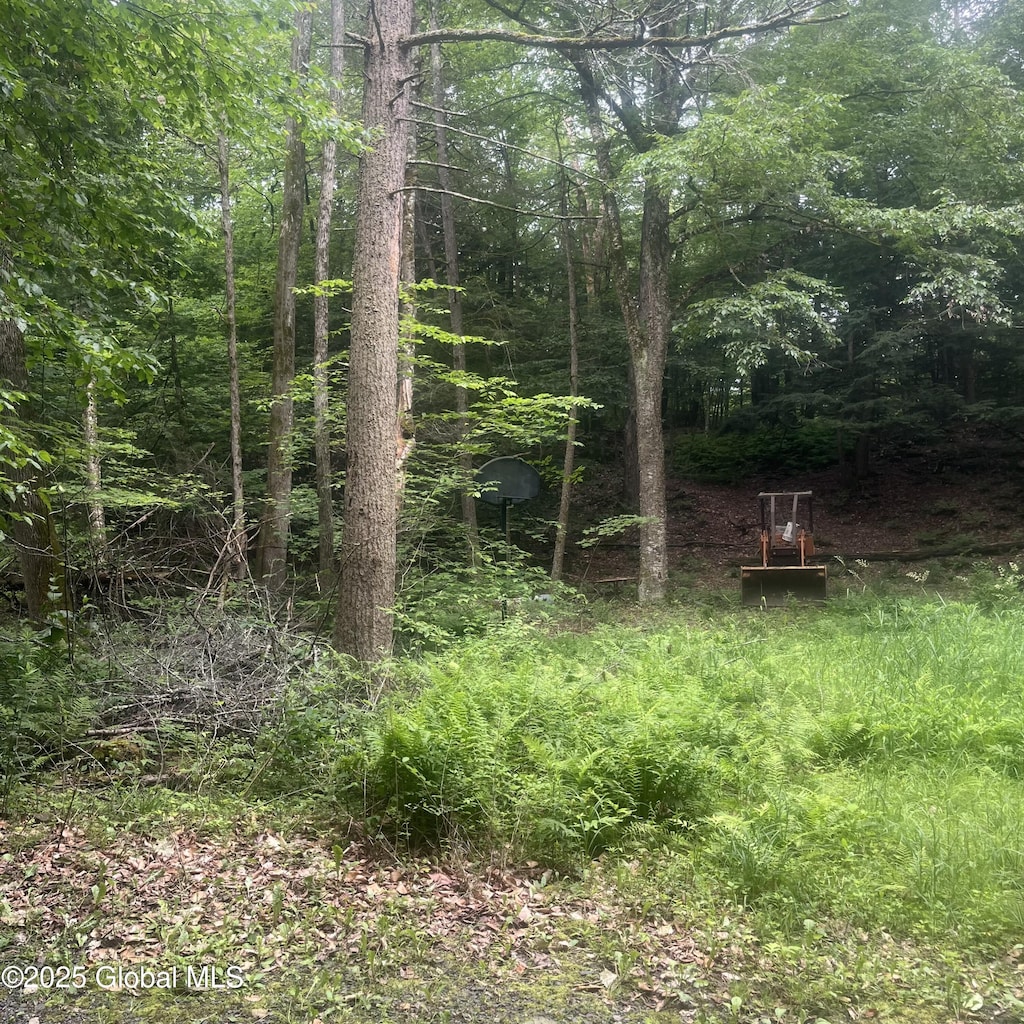 L40 Rainbow Way, Hampton, NY 12887 - photo 1