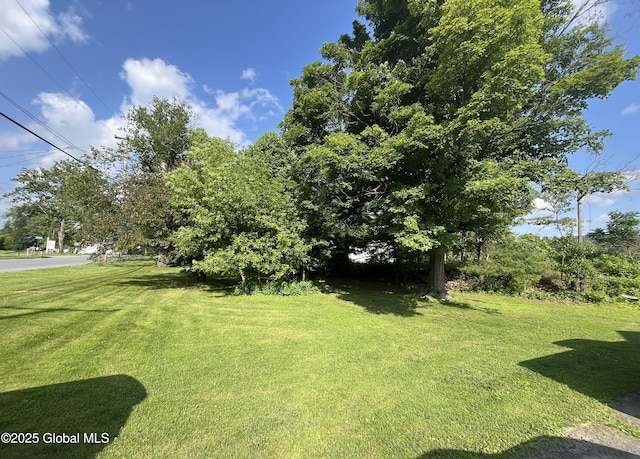 65 W Broadway, Salem, NY 12865 - view of grassy yard