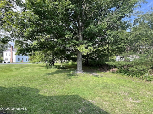 65 W Broadway, Salem, NY 12865 - view of green lawn
