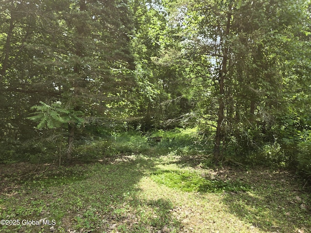 20 Luzerne Rd, Queensbury, NY 12804 - photo 12
