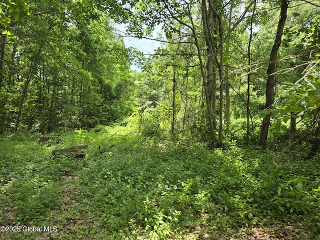 20 Luzerne Rd, Queensbury, NY 12804 - photo 15
