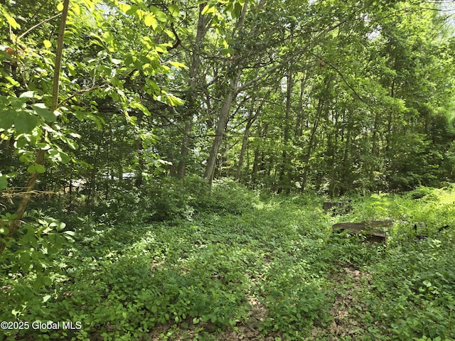 20 Luzerne Rd, Queensbury, NY 12804 - photo 16