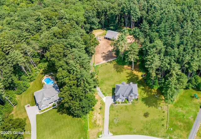 7 Anthony Ln, Saratoga Springs, NY 12866 - aerial view of a heavily wooded area and a pool