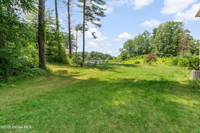 7 Anthony Ln, Saratoga Springs, NY 12866 - view of green lawn