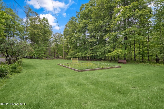 633 Moore Hill Rd, Stephentown, NY 12168 - view of green lawn featuring a wooded view