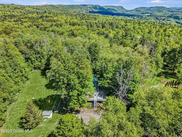 633 Moore Hill Rd, Stephentown, NY 12168 - bird's eye view of a forest and a mountainous background