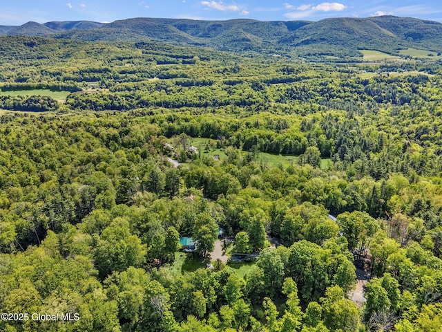 633 Moore Hill Rd, Stephentown, NY 12168 - drone / aerial view of mountains and a forest