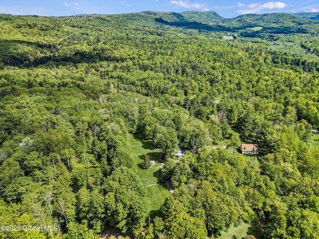 633 Moore Hill Rd, Stephentown, NY 12168 - drone / aerial view of a forest and a mountainous background