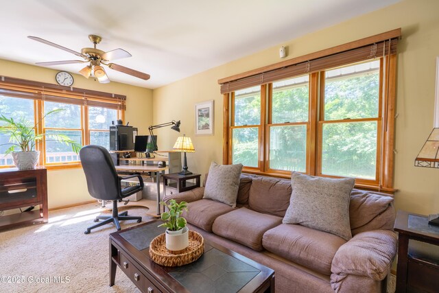 25 Abeling Ln, Day, NY 12835 - photo 22