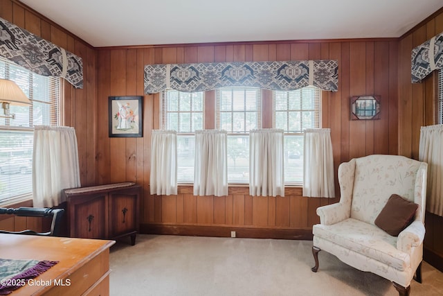 87 Hollywood Ave, Albany, NY 12208 - sitting room with light carpet and wooden walls