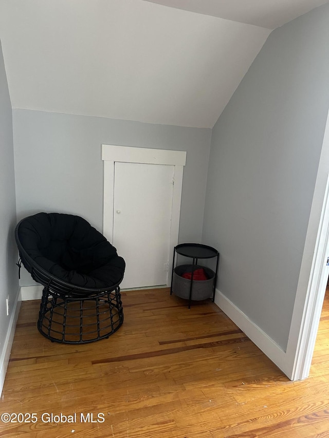 246 Fourteenth St, Schenectady, NY 12306 - sitting room featuring lofted ceiling and light wood-type flooring