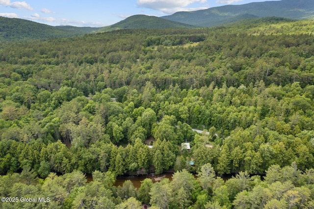 18 Miller Rd, Schroon, NY 12870 - photo 25