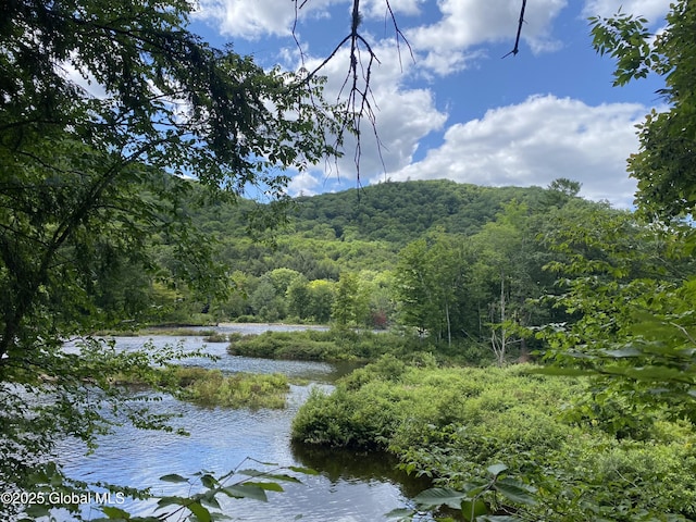 855 State Route 30, Hope, NY 12134
